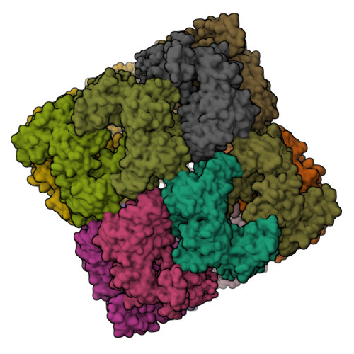 GroEL Chaperonin protein structure