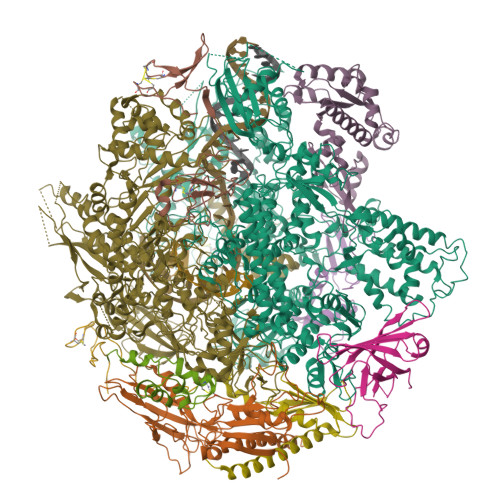 Rcsb Pdb 3gtl Backtracked Rna Polymerase Ii Complex With 13mer With G U Mismatch