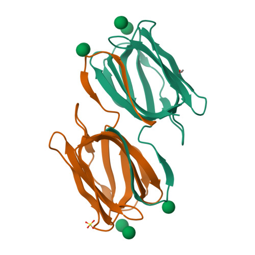 Rcsb Pdb 2gud Crystal Structure Of A Complex Of Griffithsin With Mannose At 0 94 A Resolution