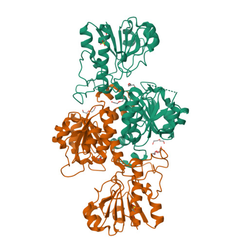 Rcsb Pdb 2gug Nad Dependent Formate Dehydrogenase From Pseudomonas Sp 101 In Complex With Formate