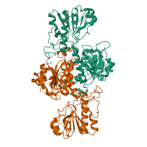 Rcsb Pdb 2gug Nad Dependent Formate Dehydrogenase From Pseudomonas Sp 101 In Complex With Formate