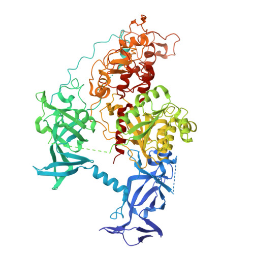 Rcsb Pdb 5guv The Crystal Structure Of Mouse Dnmt1 731 1602 Mutant R1279d