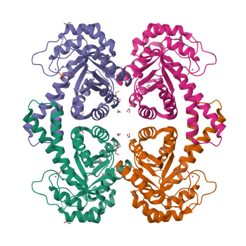 Rcsb Pdb 1gvf Structure Of atose 1 6 Bisphosphate Aldolase