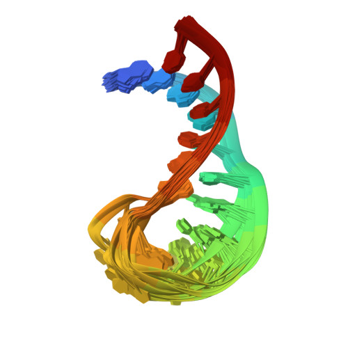 Rcsb Pdb 2gvo Solution Structure Of A Purine Rich Hexaloop Hairpin Belonging To Pgy Mdr1 Mrna And Targeted By Antisense Oligonucleotides