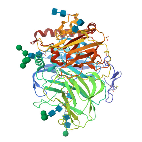 Rcsb Pdb 1gw0 Crystal Structure Of Laccase From Melanocarpus Albomyces In Four Copper Form