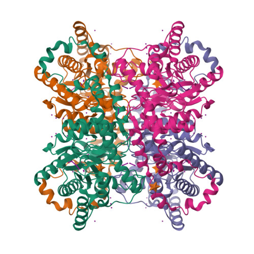 Rcsb Pdb 1gw9 Tri Iodide Derivative Of Xylose Isomerase From Streptomyces Rubiginosus