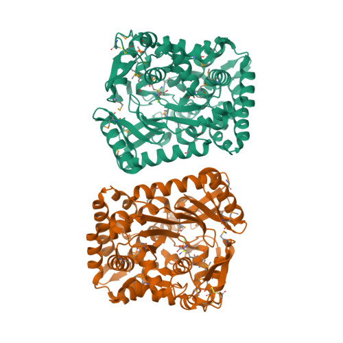 Rcsb Pdb 2gwc Crystal Structure Of Plant Glutamate Cysteine Ligase In Complex With A Transition State Analogue