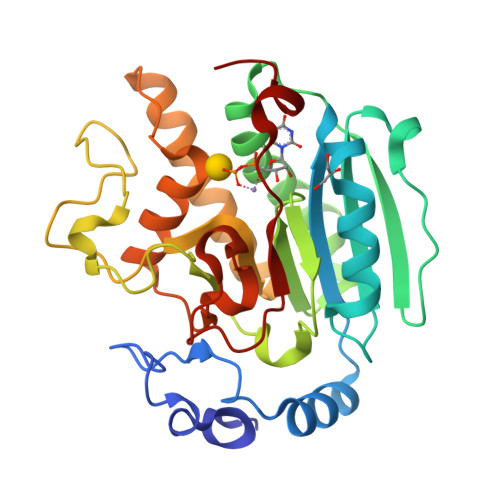 Rcsb Pdb 1gx0 Alpha 1 3 Galactosyltransferase Beta D Galactose Complex