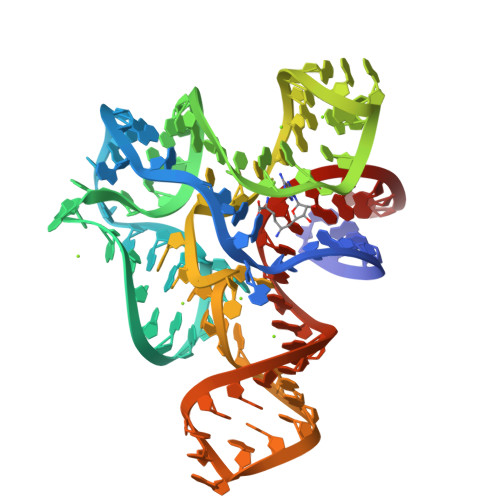 Rcsb Pdb 3gx2 Ttesam I Riboswitch Variant A94gu34c Bound To Sinefungin