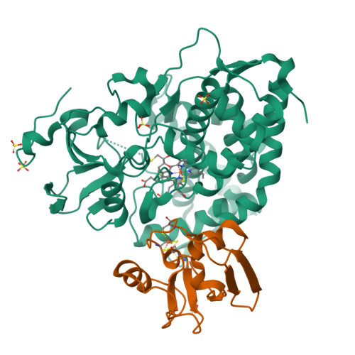 Rcsb Pdb 5gxg High Resolution Crystal Structure Of The Electron Transfer Complex Of Cytochrome P450cam With Putidaredoxin