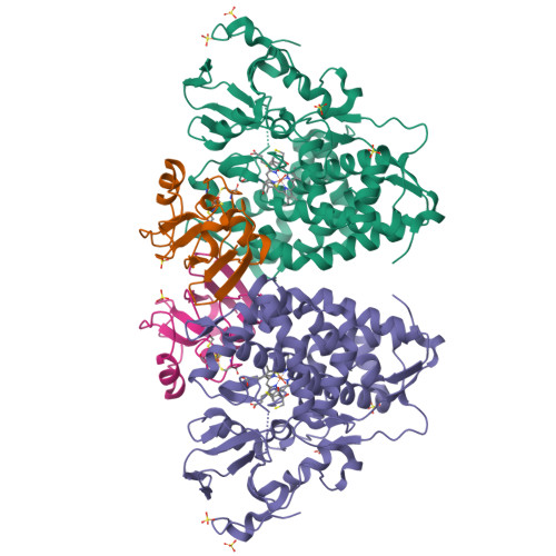 Rcsb Pdb 5gxg High Resolution Crystal Structure Of The Electron Transfer Complex Of Cytochrome P450cam With Putidaredoxin