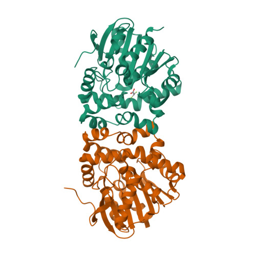 Rcsb Pdb 6gxt The Hit And Return System Enables Efficient Time Resolved Serial Synchrotron Crystallography Facd2052ms After Reaction Initiation