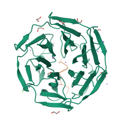 Rcsb Pdb 6gy5 Crystal Structure Of The Kelch Domain Of Human Klhl20 In Complex With Dapk1 Peptide