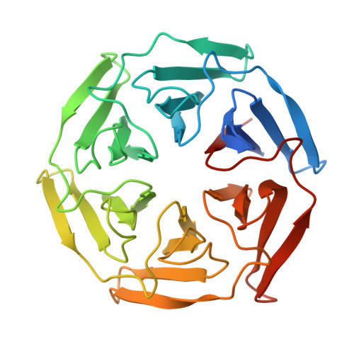 Rcsb Pdb 6gy5 Crystal Structure Of The Kelch Domain Of Human Klhl20 In Complex With Dapk1 Peptide