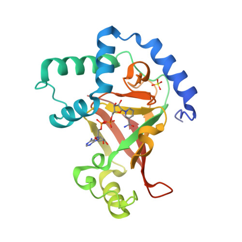 Rcsb Pdb 1gzf Structure Of The Clostridium Botulinum C3 Exoenzyme Wild Type In Complex With Nad