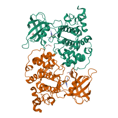 Rcsb Pdb 6h0u Glycogen Synthase Kinase 3 Beta Gsk3 Complex With A Covalent 1 2 4 Triazolo 1 5 A 1 3 5 Triazine Inhibitor