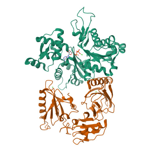 Rcsb Pdb 1h1v Gelsolin G4 G6 Actin Complex