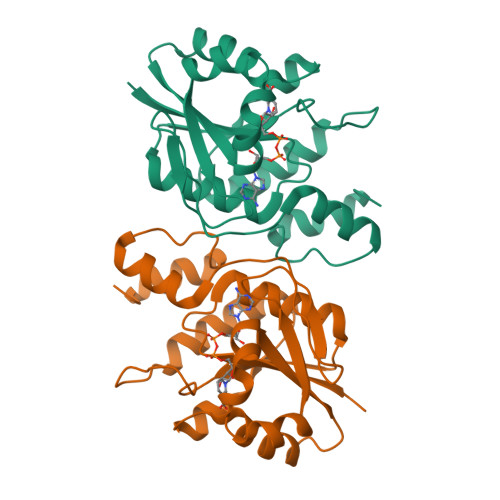 Protein Data Bank: 2H29