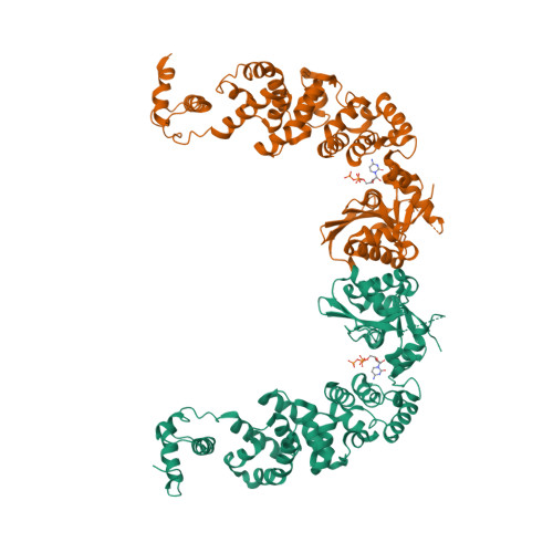 3H3A logo