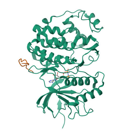 4h3q Crystal Structure Of Human Erk2 Complexed With A Mapk Docking Peptide Rcsb Pdb