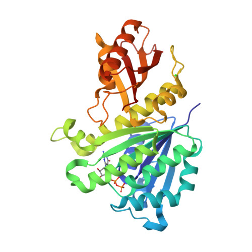 Protein Data Bank: 5H5G