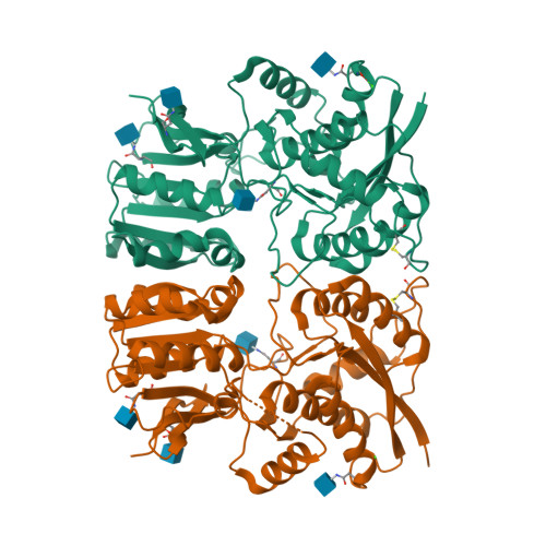 Rcsb Pdb 3h6h Crystal Structure Of The Glur6 Amino Terminal Domain Dimer Assembly Mpd Form