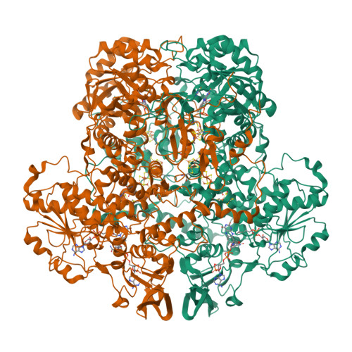 Rcsb Pdb 1h7x Dihydropyrimidine Dehydrogenase Dpd From Pig Ternary Complex Of A Mutant Enzyme C671a Nadph And 5 Fluorouracil