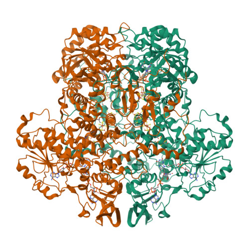 Rcsb Pdb 1h7x Dihydropyrimidine Dehydrogenase Dpd From Pig Ternary Complex Of A Mutant Enzyme C671a Nadph And 5 Fluorouracil