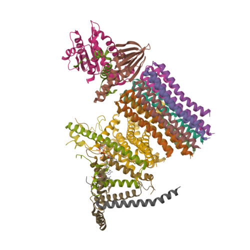 ATP5F1D image