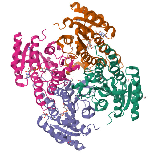 image of structure for 5HA5