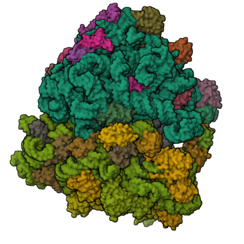 6HA1 assembly