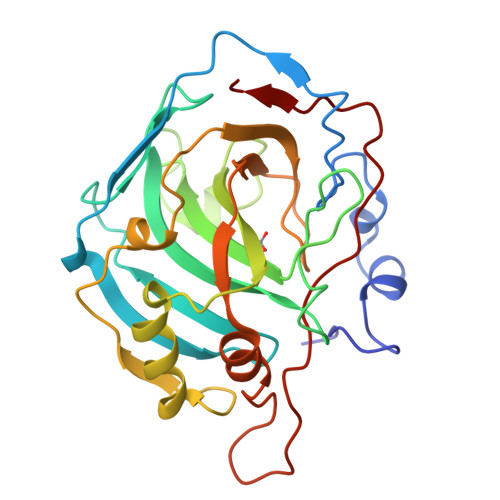 Human Carbonic Anhydrase 