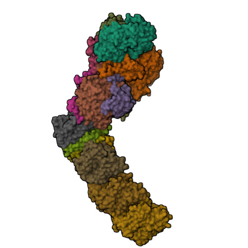 Rcsb Pdb 4hea Crystal Structure Of The Entire Respiratory Complex I From Thermus Thermophilus