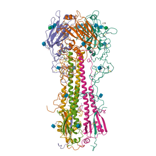 Rcsb Pdb 1hgh Binding Of Influenza Virus Hemagglutinin To Analogs Of Its Cell Surface Receptor Sialic Acid Analysis By Proton Nuclear Magnetic Resonance Spectroscopy And X Ray Crystallography