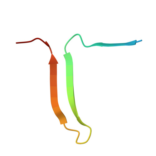 Rcsb Pdb 6hgg Crystal Structure Of Alpha1 Antichymotrypsin Variant Newbg Iii A New Binding Globulin In Complex With Cortisol