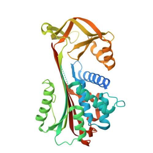 Rcsb Pdb 6hgm Crystal Structure Of Alpha1 Antichymotrypsin Variant Newbg Iii Allo An Allosterically Controlled New Binding Globulin With An Unprecedentedly High Ligand Release Efficacy