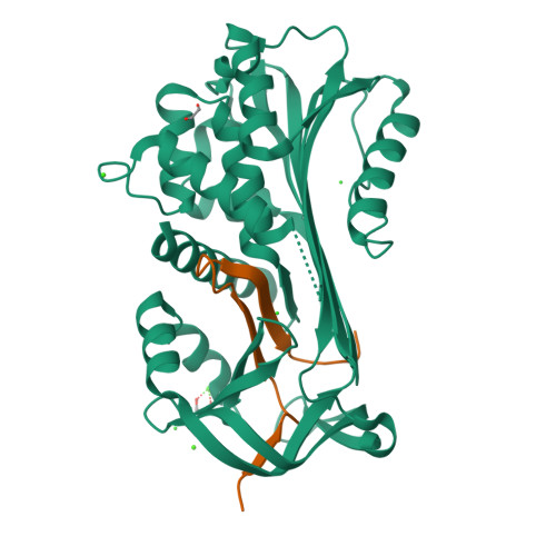 Rcsb Pdb 6hgm Crystal Structure Of Alpha1 Antichymotrypsin Variant Newbg Iii Allo An Allosterically Controlled New Binding Globulin With An Unprecedentedly High Ligand Release Efficacy