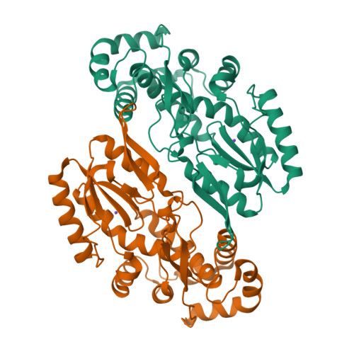 Rcsb Pdb 5hhl Reverse Transcriptase Domain Of Group Ii Intron Maturase From Eubacterium Rectale In P21 Space Group