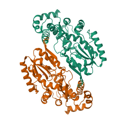 5hhl Reverse Transcriptase Domain Of Group Ii Intron Maturase From Eubacterium Rectale In P21 Space Group Rcsb Pdb