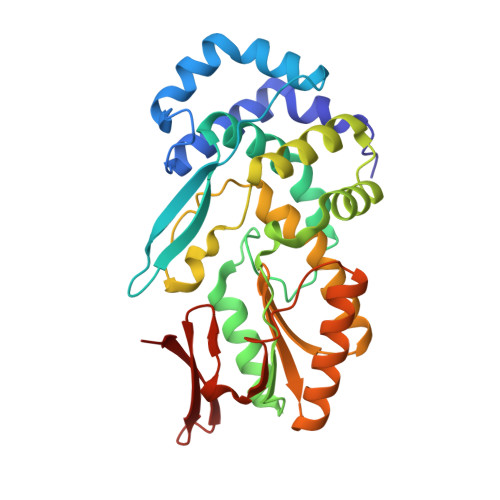 Rcsb Pdb 5hhl Reverse Transcriptase Domain Of Group Ii Intron Maturase From Eubacterium Rectale In P21 Space Group