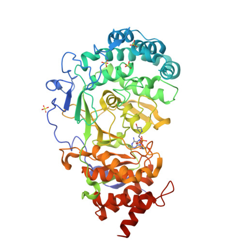 Rcsb Pdb 6hh6 Human Poly Adp Ribose Glycohydrolase In Complex With Adp Hpm