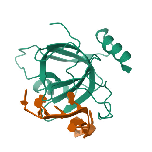 Rcsb Pdb 4hio Crystal Structure Of Schizosaccharomyces Pombe Pot1pc Bound To Ssdna Ggtaacggt