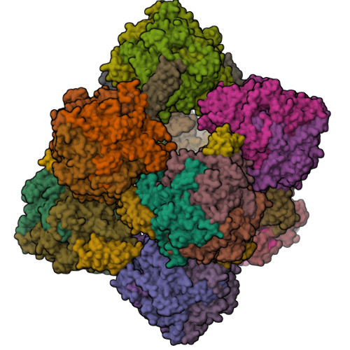 Rcsb Pdb 6hif Kuenenia Stuttgartiensis Hydrazine Dehydrogenase Complex