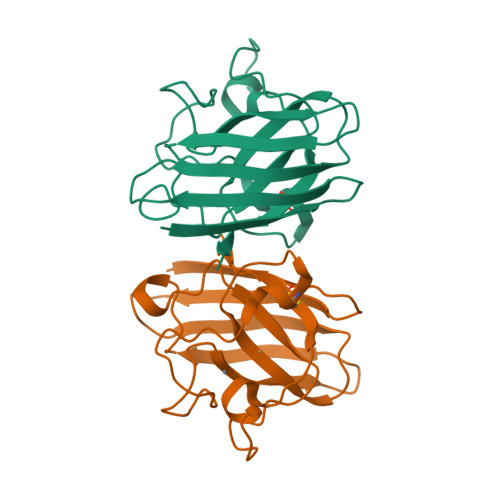 Rcsb Pdb 1hl5 The Structure Of Holo Type Human Cu Zn Superoxide Dismutase