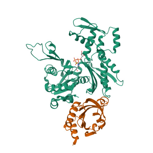 Rcsb Pdb 1hlu Structure Of Bovine Beta Actin Profilin Complex With Actin Bound Atp Phosphates Solvent Accessible