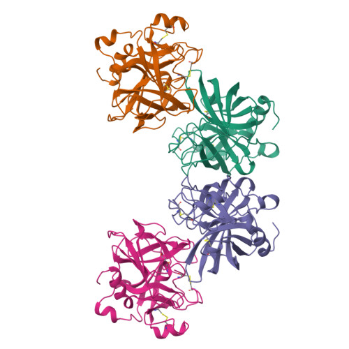 Rcsb Pdb 2hlc Hl Collagenase Structure At 1 7a Resolution