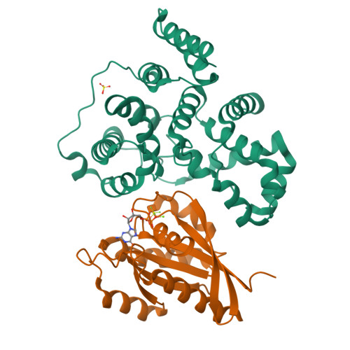 Rcsb Pdb 4hlq Crystal Structure Of Human Rab1b Bound To Gdp And Bef3 In Complex With The Gap Domain Of Tbc1d From Homo Sapiens