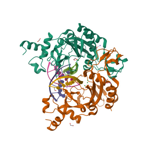 Rcsb Pdb 5hlk Crystal Structure Of The Ternary Ecorv Dna Lu Complex With Cleaved Dna Substrate