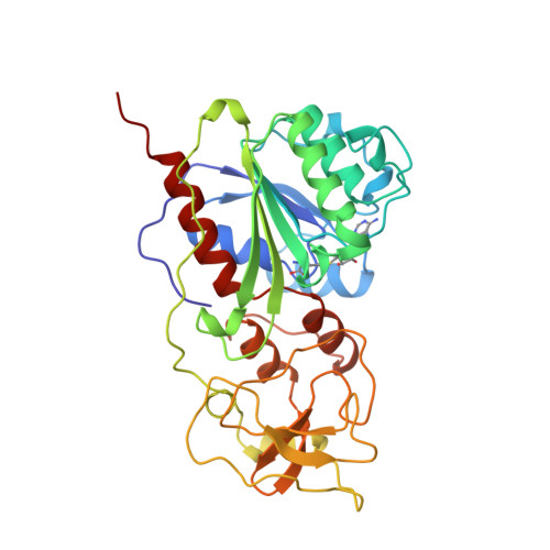 Rcsb Pdb 2hmy Binary Complex Of Hhai Methyltransferase With Adomet Formed In The Presence Of A Short Nonpsecific Dna Oligonucleotide