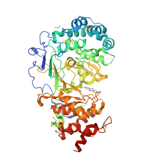 Rcsb Pdb 6hmm Polyadpribosyl Glycohydrolase In Complex With Pdd00013907